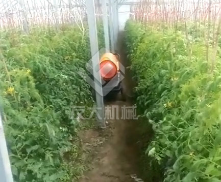 草莓大棚升溫保暖必備設(shè)備——燃油暖風(fēng)機